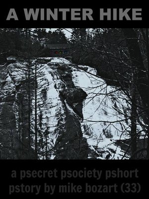 cover image of A Winter Hike